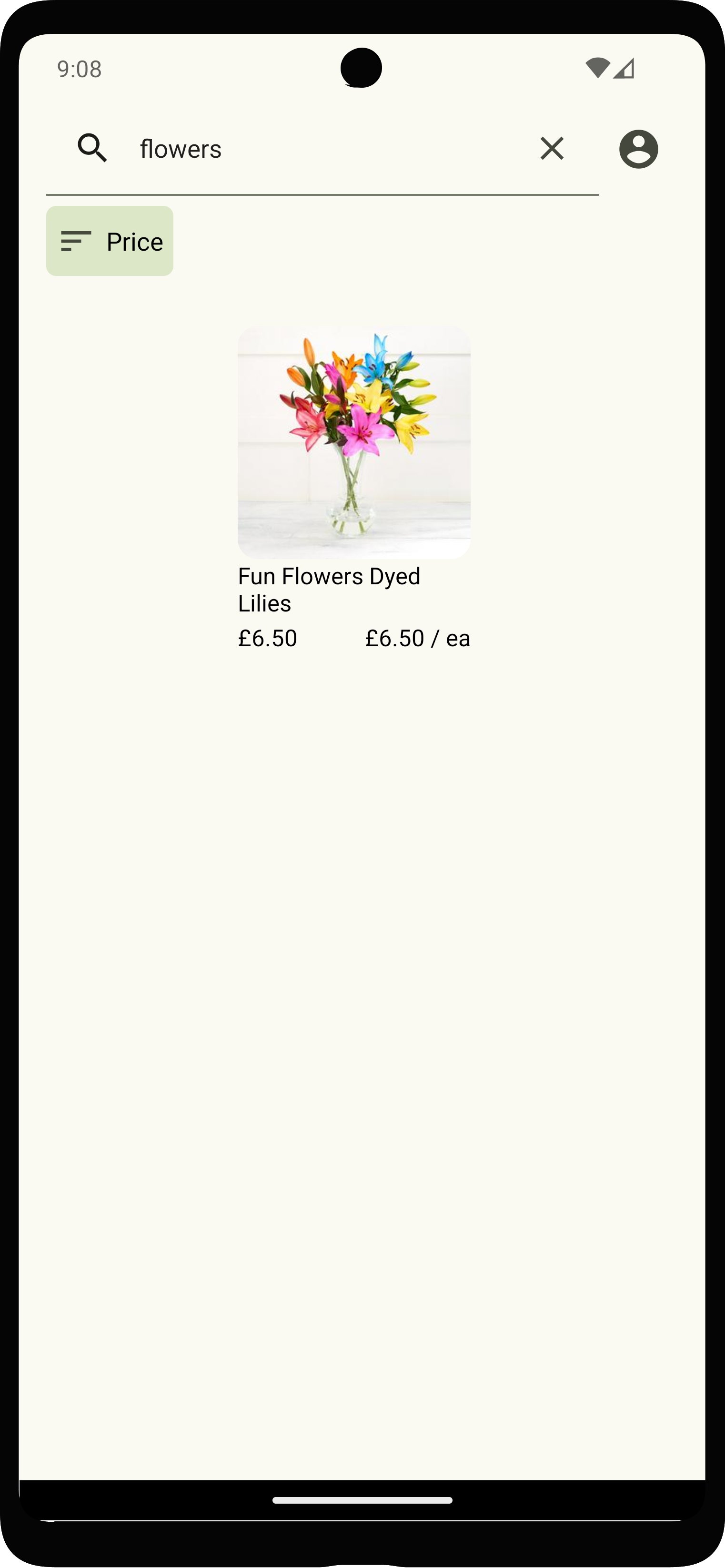 mockup of the app